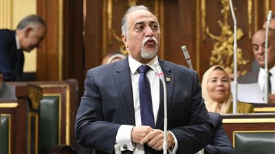 زعيم الأغلبية البرلمانية: مشروع القانون انتصار للحريات.. والقوات المسلحة نموذجًا في الالتزام