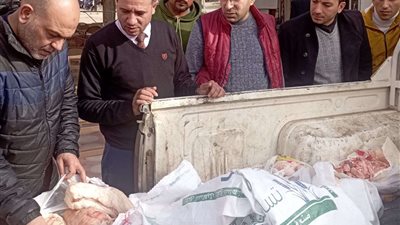 ضبط ما يزيد عن نصف طن لحوم ودواجن مجهولة المصدر بالمنوفية (صور)
