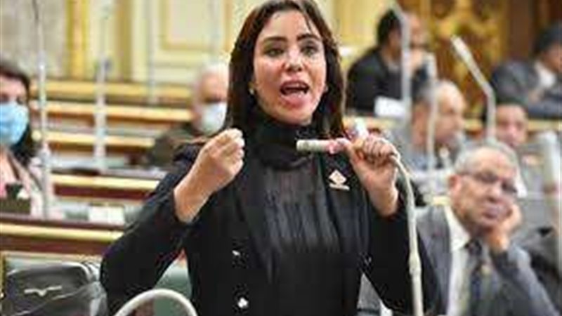 النائبة غادة علي