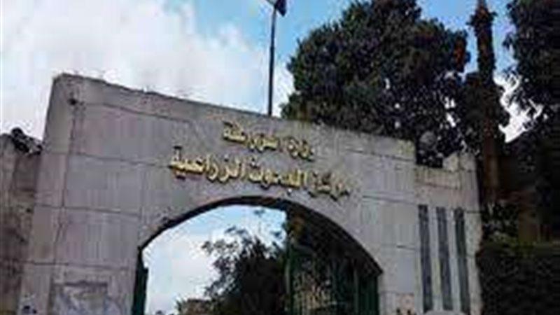 ارشفية