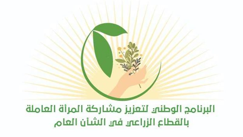 مجلس الشباب المصري