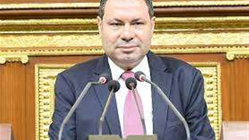 النائب هشام الحصري،