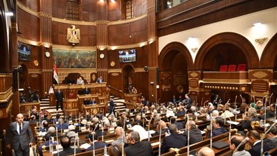 الحكومة توافق على مناقشة استيضاح سياستها لسبل تعزيز الصادرات الزراعية