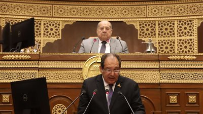 أمام الشيوخ.. وزير الزراعة يستعرض إنجازات قطاع الزراعة خلال العشر سنوات الماضية