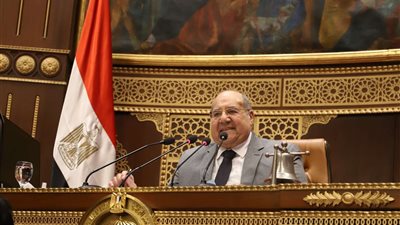 رئيس مجلس الشيوخ: دورنا إزالة أي عقبات تشريعية أمام القطاع الزراعي وزيادة الصادرات الزراعية للخارج