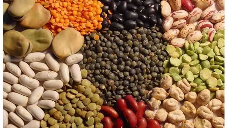أسعار البقوليات