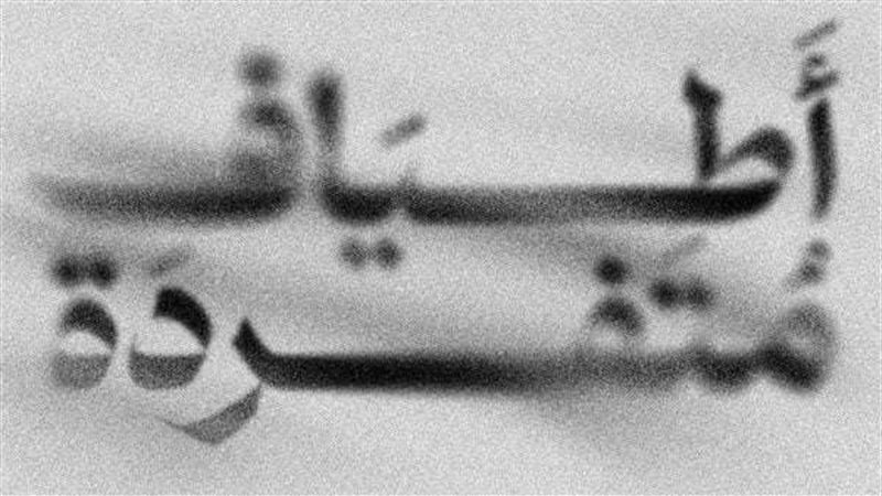 معرض "أطياف