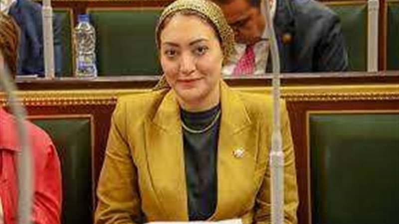 النائبة أسماء الجمال،