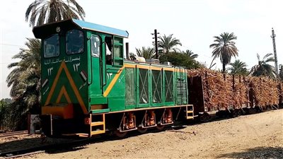 حريق هائل يلتهم قطار لنقل القصب في أسوان