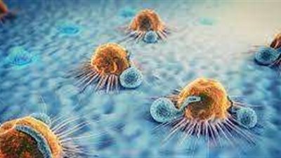 أستاذة مناعة: كل الخلايا السرطانية تؤثر بشكل سلبي على الأعضاء الأخرى