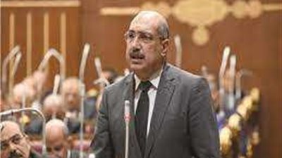 النائب إيهاب وهبة: القيادة السياسية دائمًا تضع مصلحة المواطن نصب أعينها والزيادة تراعي احتياجات المواطنين