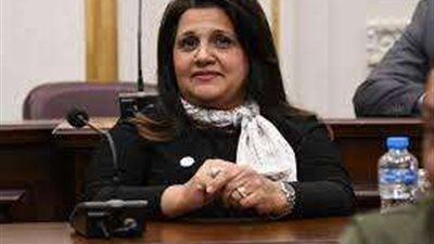 عضو صحة الشيوخ: توجيهات الرئيس برفع الأجور والمعاشات إنصاف للمواطن البسيط