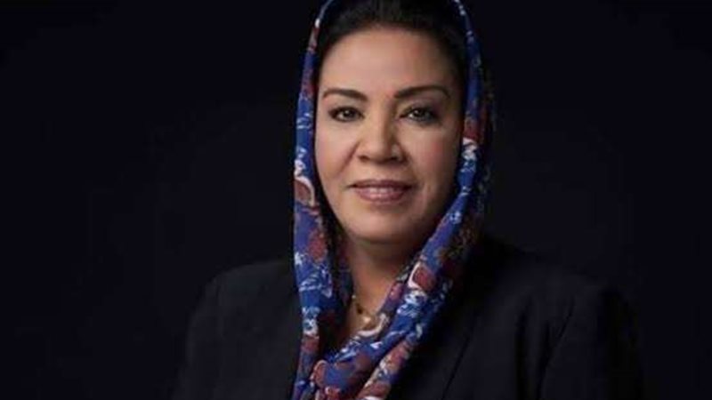 نشوي الديب عضو لجنة