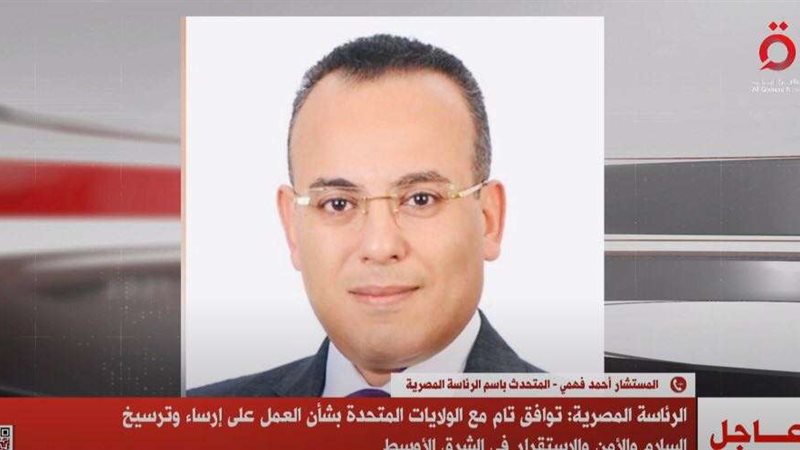 المستشار أحمد فهمي