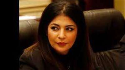 الشيطان يكمن فى التفاصيل.. برلمانية تُطالبت بحذف مسمى «المسن الأولى بالرعاية» الوارد بمشروع القانون