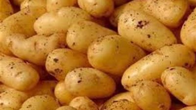 خاص| عقود تصديرية وبديل أعلاف.. هل مؤشر أسعار البطاطس ينذر بالارتفاع؟.. مختصون يوضحون