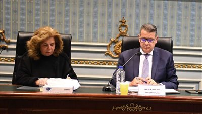 حقوق الإنسان بمجلس النواب والقومى لحقوق الانسان يناقش كود الإتاحه لضمان كفالة حقوق ذوى الإعاقه