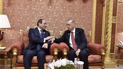 أردوغان: تركيا تتقاسم مع مصر تاريخا مشتركا يمتد إلى ما يزيد عن ألف سنة