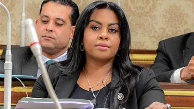 النائبة نيفين حمدي ترحب بمخرجات القمة المصرية التركية.. وتؤكد: السيسي وأردوغان لديهم الرغبة لفتح صفحة جديدة