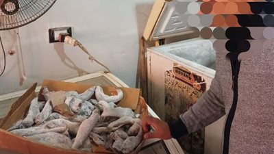 ضبط 400 كيلو لحوم ودواجن غير صالحة وتحصين أكثر من 183 ألف رأس ماشية