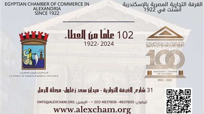 تجارية الإسكندرية تبدأ في استخراج الكارنيهات الحديثة لمنتسبيها لعام 2024