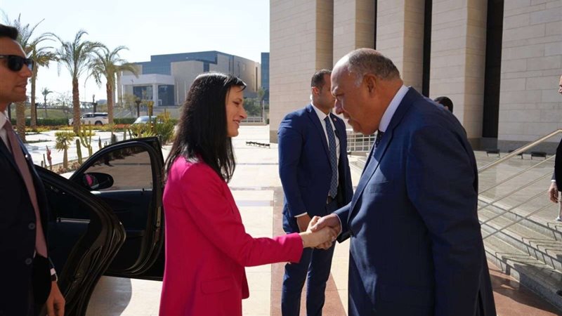 شكري يستقبل وزيرة