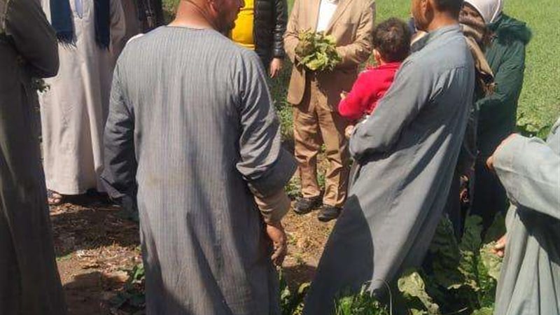 المزارعين