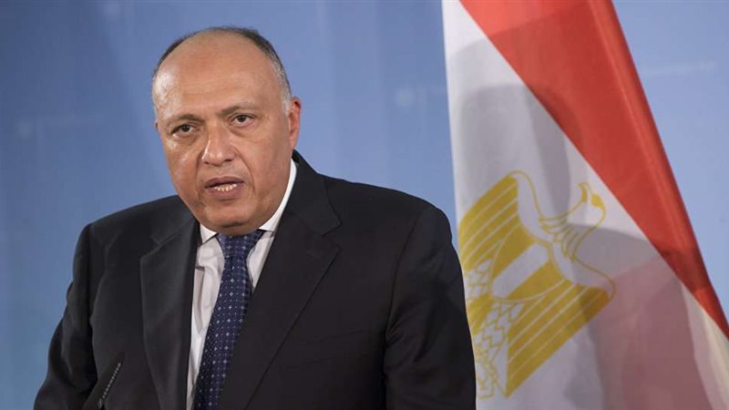 سامح شكري وزير الخاريجية