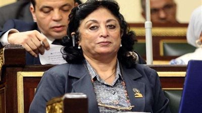 خاص| النائبة ميرفت عازر: قانون الأراضي الصحراوية لتشجيع الاستثمار الأجنبي والدفع بعجلة الإنتاج