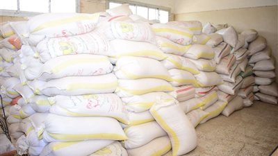 رئيس جامعة سوهاج يشيد بمنتجات وحدتي الإنتاج الحيواني والزراعي ودورها في تحقيق الاكتفاء الذاتي