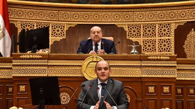وزير الصناعة أمام الشيوخ: 54 % من واردات مصر مستلزمات إنتاج صناعي