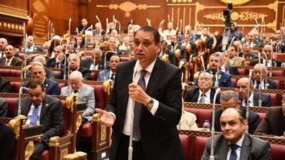 وزير الصناعة أمام «الشيوخ»: نسعى للوصول إلى حجم صادرات 100 مليار دولار