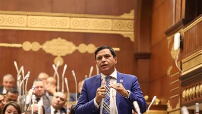 نصير: يطالب بتوفير كافة التسهيلات للمستثمر الأجنبي تشجيعا للإنتاج والتصنيع في مصر