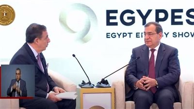 الملا: مصر تواجه تحديات خارجية إقليمية كثيرة