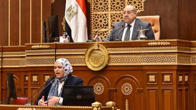 منى قطب: الوزارة نجحت في دخول القطاع الخاص في ملف النقل