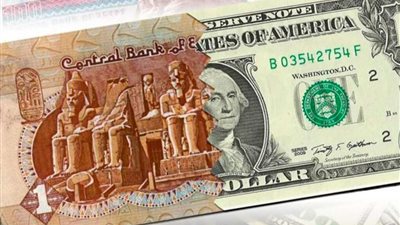 استقرار سعر الدولار أمام الجنيه بمنتصف اليوم الثلاثاء 20-2-2024
