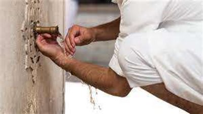 هل أكل لحم الإبل يبطل الوضوء؟.. أمين الفتوى يجيب