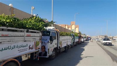 شمال سيناء تتسلم 106 ألف شجرة ضمن المبادرة الرئاسية 100 مليون شجرة