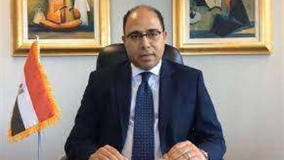 وزارة الخارجية: مصر تؤكد في مرافعتها أمام محكمة العدل مخالفة الممارسات الإسرائيلية لأحكام القانون الدولي في الأراضي المحتلة