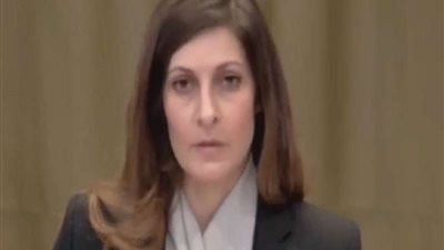 مصر أمام العدل الدولية: إسرائيل تتعمد تحويل الحياة في غزة إلى مستحيلة