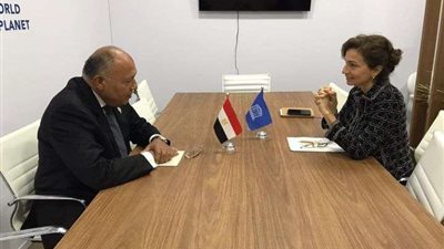 شكري يلتقي مدير عام منظمة اليونسكو على هامش اجتماع وزراء خارجية مجموعة العشرين