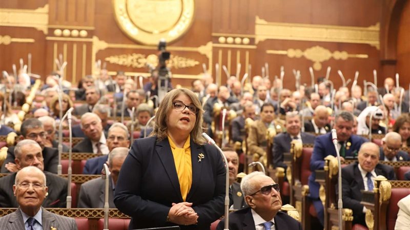 النائبة فيبي فوزي
