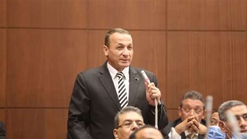 النائب أيمن عبد المحسن