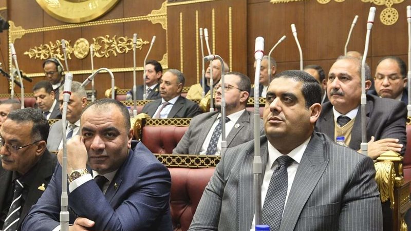 نواب دمياط بمجلس