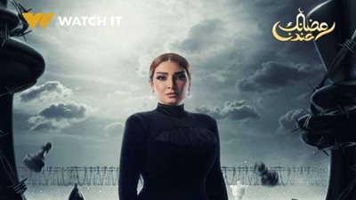 روجينا تتعاقد مع قناة «أبو ظبي» في مسلسل 