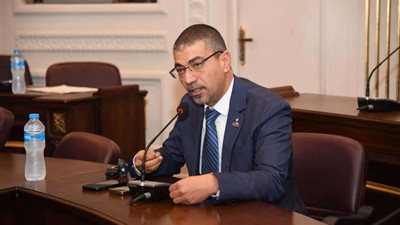 نائب بالشيوخ: كلمة الرئيس السيسي بـ 