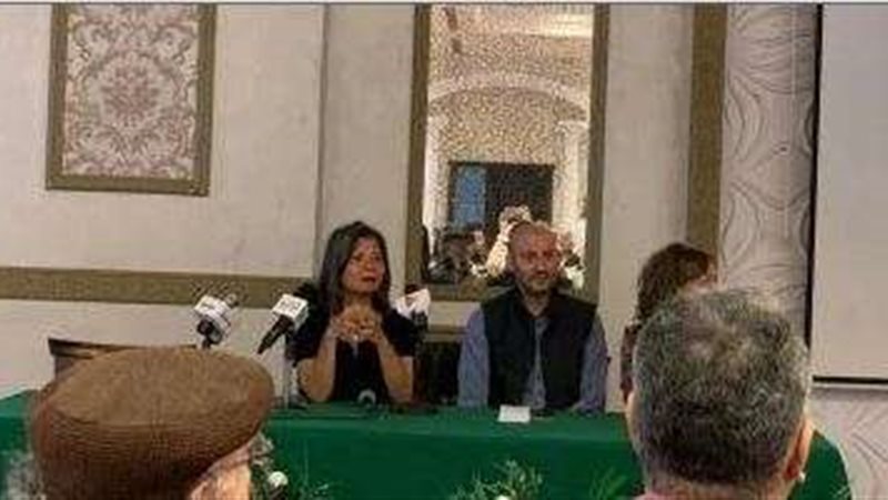 سلوى محمد على