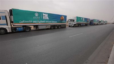 خبير علاقات دولية: مصر أكبر داعم ومقدم المساعدات الإنسانية لأهالي غزة