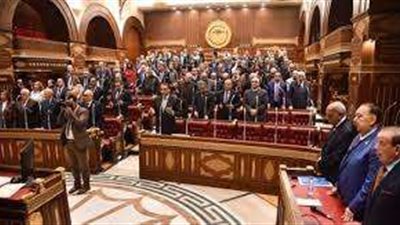 أعضاء «الشيوخ» يشيدون بمشروع الضمان الاجتماعي والدعم النقدي