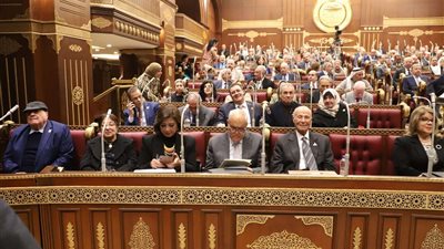 الشيوخ يحيل 11 اقتراحا برغبة إلى الحكومة